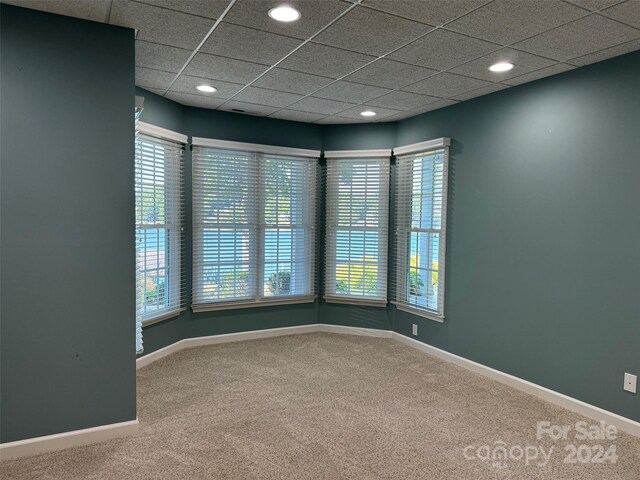 spare room featuring carpet flooring, a drop ceiling, and a healthy amount of sunlight