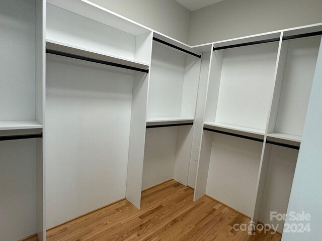 walk in closet featuring light wood-type flooring