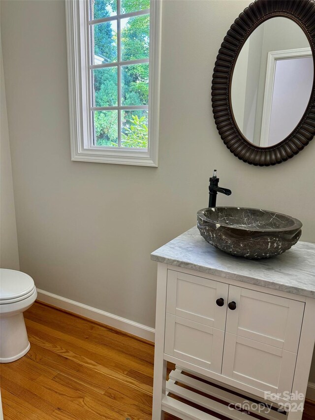 bathroom with hardwood / wood-style floors, vanity, and toilet