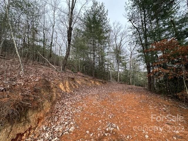 0000 Silverglen Way Unit 53, Hendersonville NC, 28792 land for sale