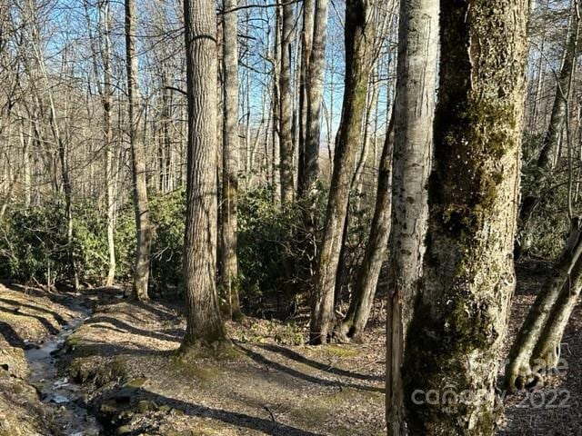 6 Friar Tuck Ln Unit 19, Maggie Valley NC, 28751 land for sale