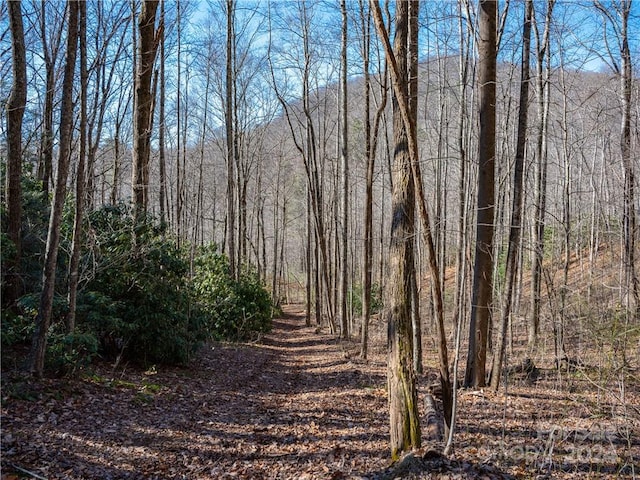 Listing photo 2 for TBD Long Branch Road, Swannanoa NC 28778