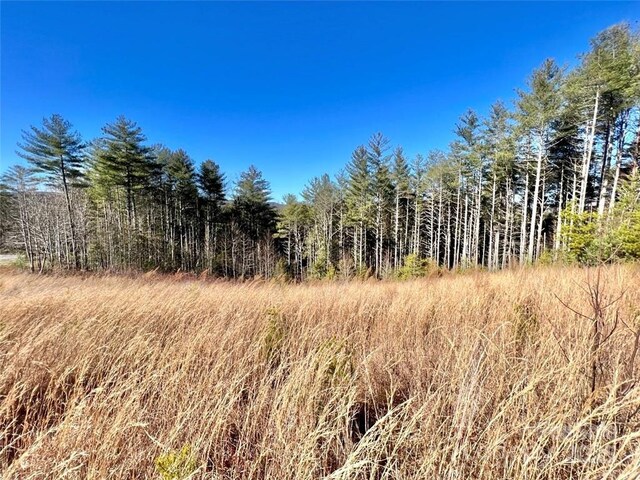 1.85ACRESLOT154 Rocky Falls Ln Lot 154, Lenoir, NC 28645 - photo 3