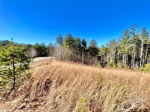 1.85ACRESLOT154 Rocky Falls Ln Lot 154, Lenoir, NC 28645 - photo 10