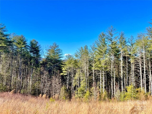 1.85ACRESLOT154 Rocky Falls Ln Lot 154, Lenoir, NC 28645 - photo 13
