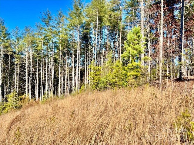 1.85ACRESLOT154 Rocky Falls Ln Lot 154, Lenoir, NC 28645 - photo 14
