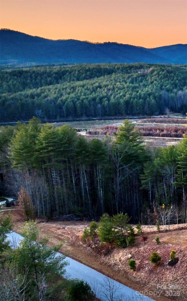 1.85ACRESLOT154 Rocky Falls Ln Lot 154, Lenoir, NC 28645 - photo 1