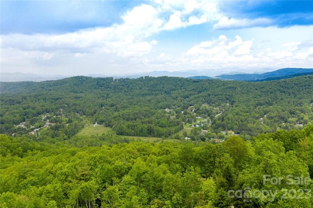 Listing photo 2 for 000 Skyway Dr, Hendersonville NC 28739