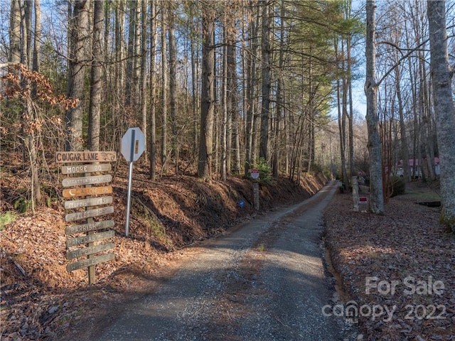 Listing photo 2 for 00 Cougar Ln, Whittier NC 28789