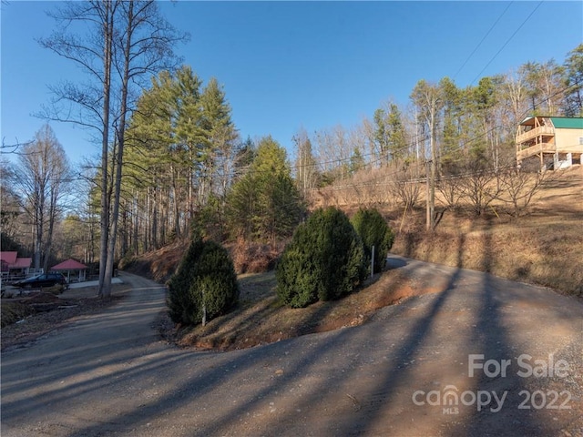 Listing photo 3 for 00 Cougar Ln, Whittier NC 28789