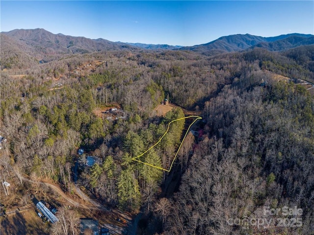 00 Cougar Ln, Whittier, NC 28789 - photo 2