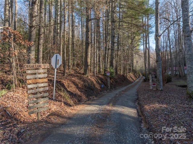 00 Cougar Ln, Whittier, NC 28789 - photo 3