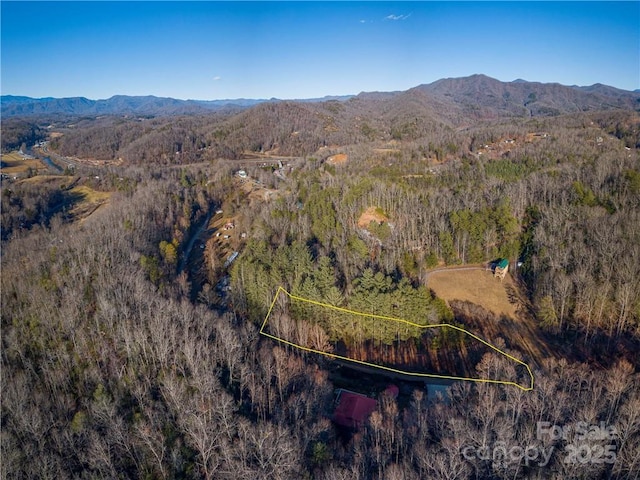 00 Cougar Ln, Whittier, NC 28789 - photo 5