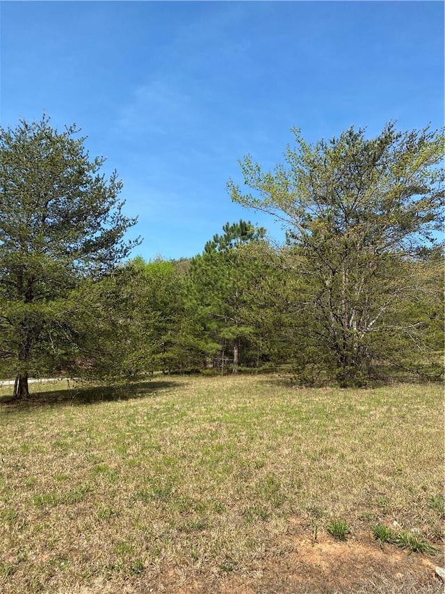 Listing photo 2 for LOT30 Double Eagle Dr Lot 30Ivb, Nebo NC 28761