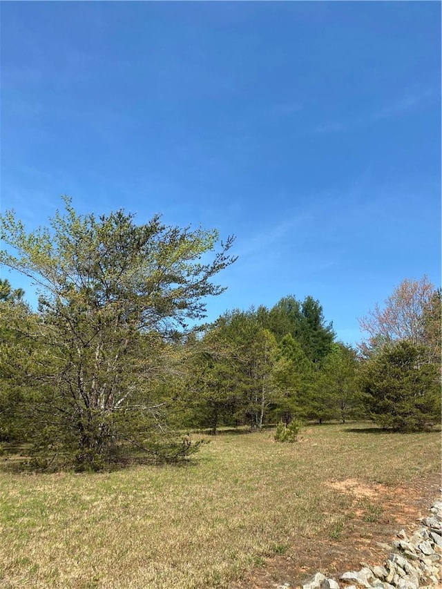 Listing photo 3 for LOT30 Double Eagle Dr Lot 30Ivb, Nebo NC 28761