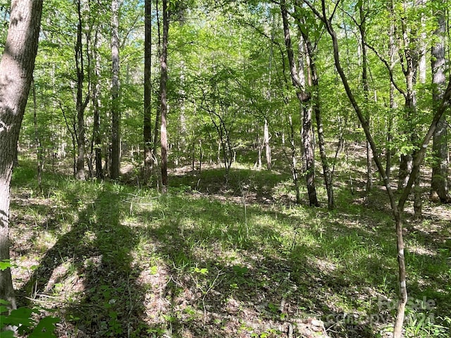 1265 N Burris Rd N, Sharon, SC 29742 - photo 7