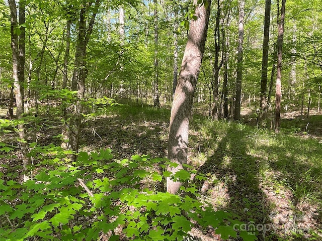 1265 N Burris Rd N, Sharon, SC 29742 - photo 8