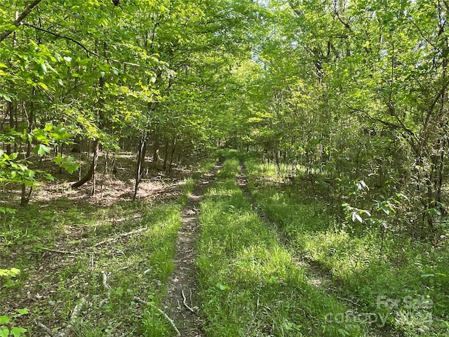 1265 N Burris Rd N, Sharon, SC 29742 - photo 9