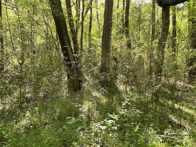 1265 N Burris Rd N, Sharon, SC 29742 - photo 10