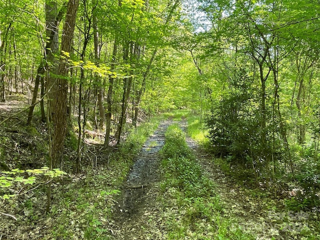 1265 N Burris Rd N, Sharon, SC 29742 - photo 12