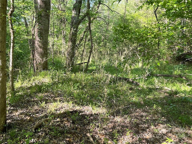 1265 N Burris Rd N, Sharon, SC 29742 - photo 15