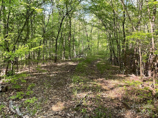 1265 N Burris Rd N, Sharon, SC 29742 - photo 17