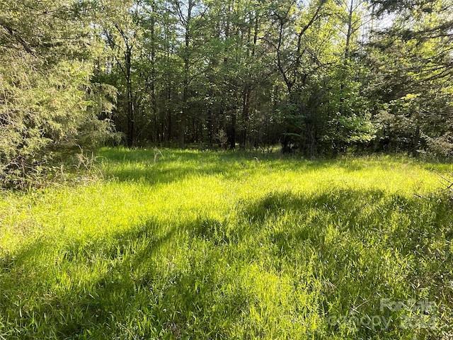 1265 N Burris Rd N, Sharon, SC 29742 - photo 20