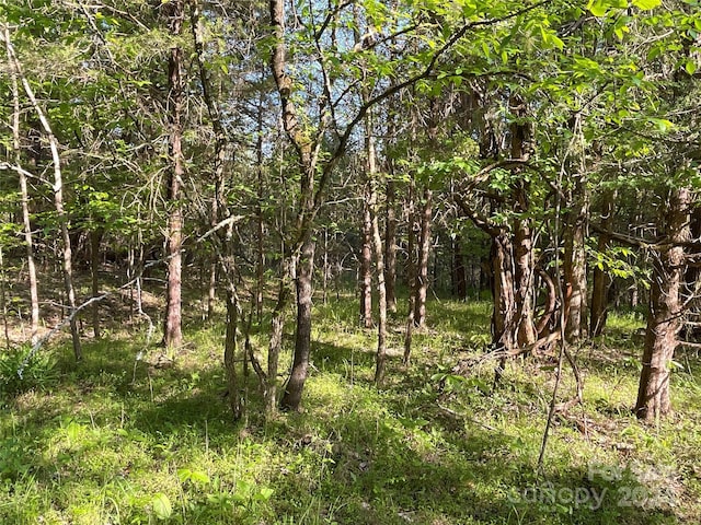 1265 N Burris Rd N, Sharon, SC 29742 - photo 21
