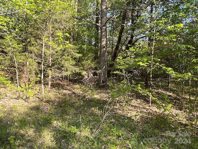 1265 N Burris Rd N, Sharon, SC 29742 - photo 22
