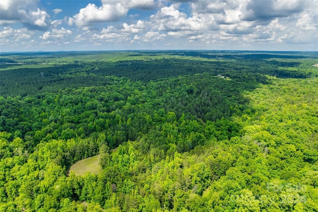 1265 N Burris Rd N, Sharon, SC 29742 - photo 28
