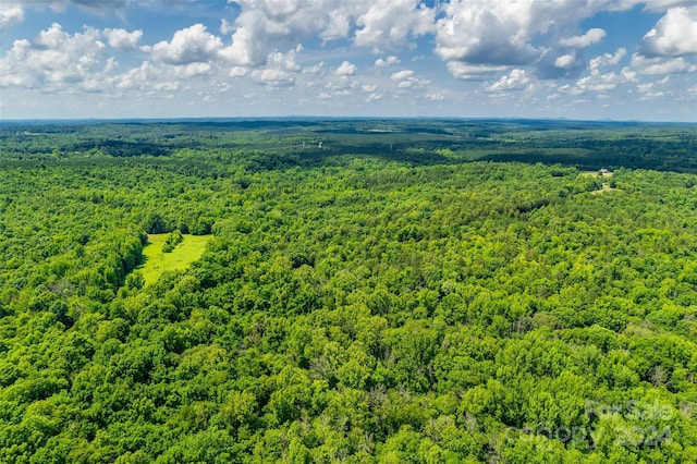 1265 N Burris Rd N, Sharon, SC 29742 - photo 33