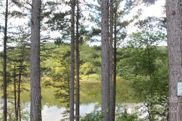 Listing photo 3 for 2038 Inlet Shore Road Ne 24 & 25, Connelly Springs NC 28612