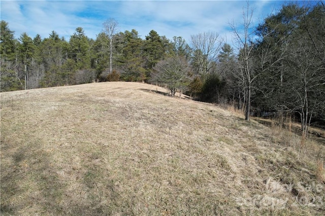 view of local wilderness