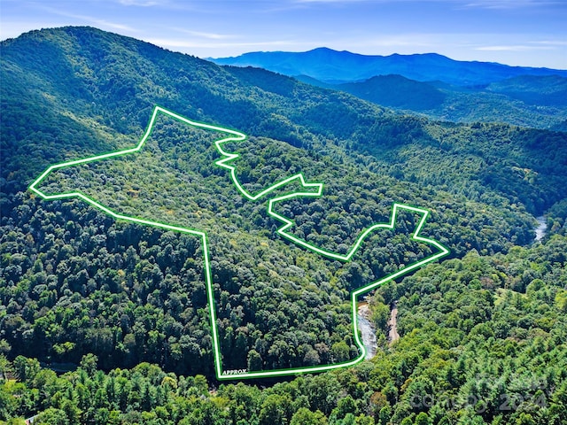 Listing photo 2 for 117/-ACRES Rabbit Hop Rd, Spruce Pine NC 28777