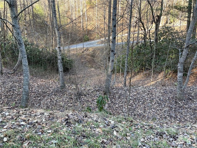 LOT38 Brush Creek Mountain Rd Unit 38, Bryson City NC, 28713 land for sale