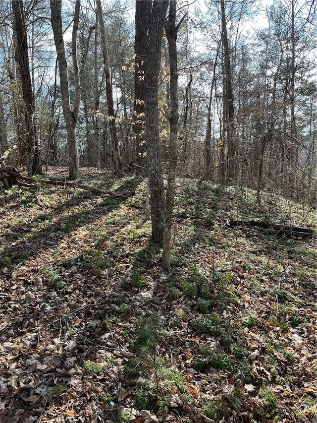 999B Sams Xing, Mars Hill NC, 28754 land for sale