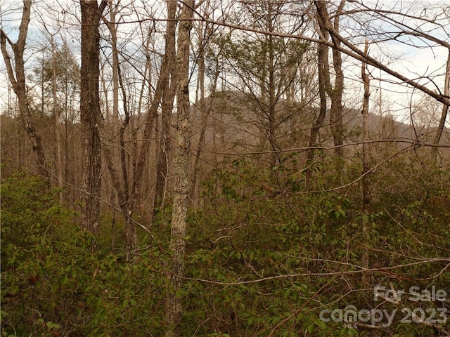 Listing photo 3 for LOT42 Flynn Ct, Lake Lure NC 28746