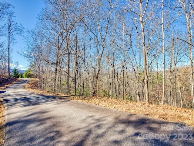 LOT26 Chapel Cove Cir, Franklin NC, 28734 land for sale