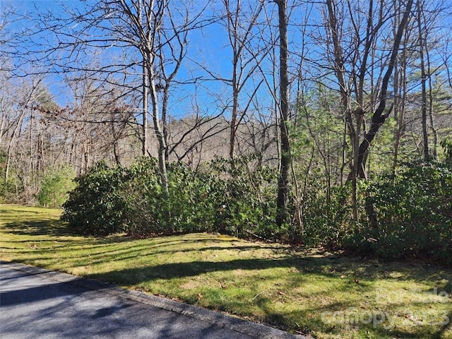 00 Blackgum Ct Unit 349, Hendersonville NC, 28739 land for sale