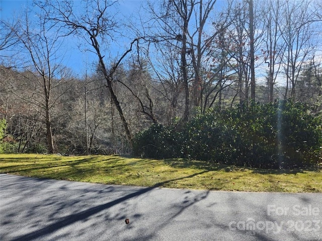 Listing photo 2 for 00 Blackgum Ct Unit 349, Hendersonville NC 28739