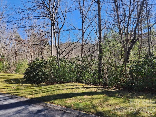 Listing photo 3 for 00 Blackgum Ct Unit 349, Hendersonville NC 28739