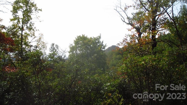 LOT40 The Knl, Bryson City NC, 28713 land for sale