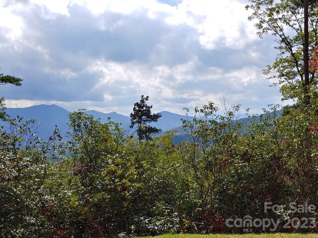 LOT42 The Knl, Bryson City NC, 28713 land for sale