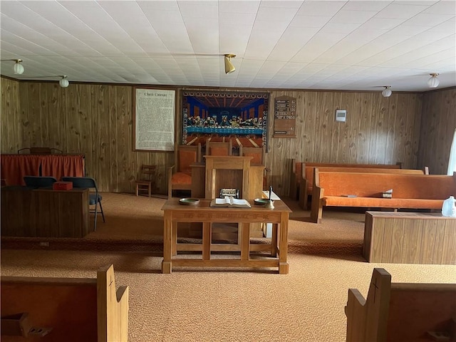 interior space with wooden walls and carpet