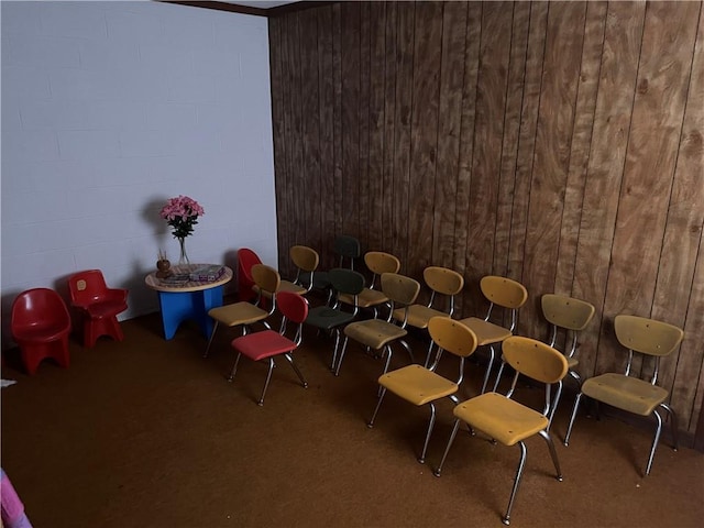 interior space with wooden walls and carpet