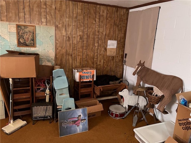 miscellaneous room with wooden walls