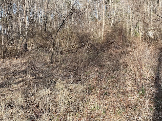 Listing photo 2 for 9999/LOT2 Max Metcalf Rd, Swannanoa NC 28778