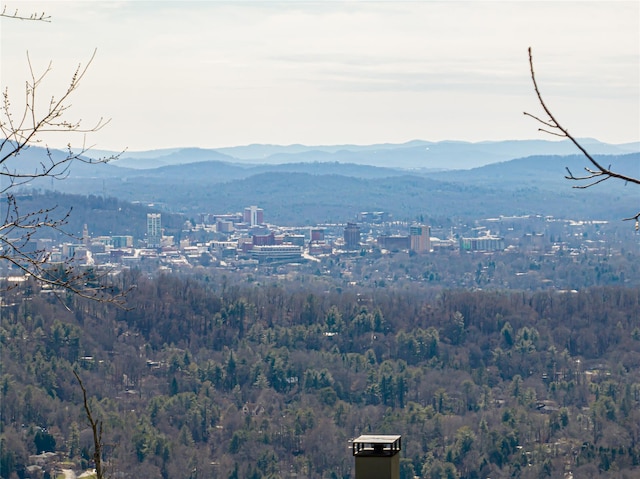 43 Summit Tower Cir Unit 235, Asheville NC, 28804 land for sale