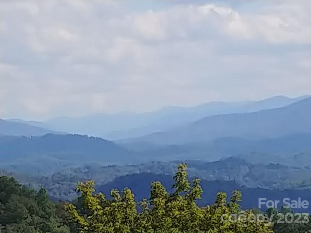 LOT44 Thomas Divide Way, Bryson City NC, 28713 land for sale