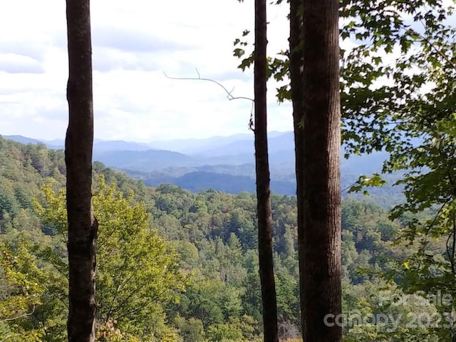 LOT45 Thomas Divide Way, Bryson City NC, 28713 land for sale